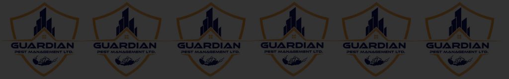 Guardian Pest Management - Blog - Latest News