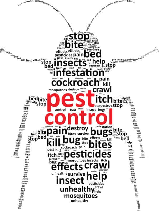 Commercial Pest Control Warrington, Cheshire