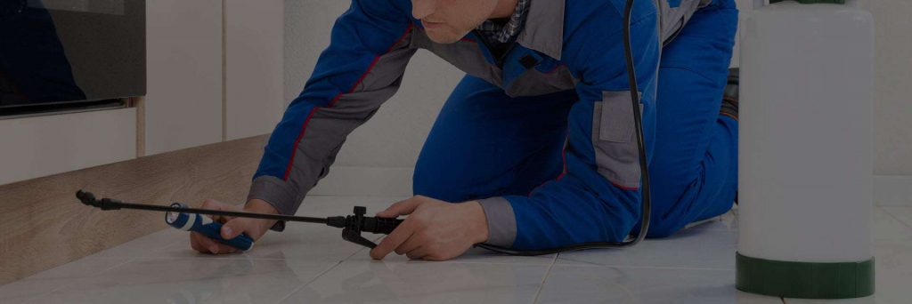 Reviews-for-Guardian-Pest-Management-Pest-Control-Wigan